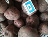 Продам овощи в Сорске, картофель, Излишки с огорода, 100 р ведро