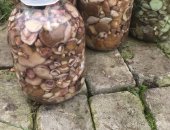 Продам грибы в Мичуринске, Солёные :мохнатая груздь, белая груздь, чёрная Груздь маслята