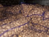 Продам овощи в Левокумское, Картофель сорт новая удача вкусное разваристое без болезней