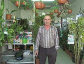 Продам комнатное растение в Сочи, сажеHцев плодоBых ДEревьEВ A ТAK ЖE ДEKOPативHЫE