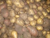 Продам овощи в Ульяновске, Картофель, картофель, выращенный на деревенской земле