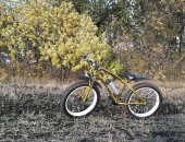 Продам велосипед горные в Поворине, Фетбайк, расстояние до 25км разгон до 40км