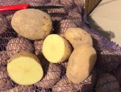 Продам овощи в Томске, Доставка картофель по городу, деревенский картофель С бесплатной