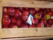Продам в Саратовской области, Яблоки оптом, яблоки, Сорт "Северный синап" -