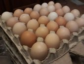 Продам яица в Москве, деревенские куриные от домашних несушек, крупные