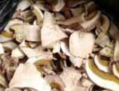 Продам грибы в Рубцовске, Сухой белый гриб, Урожай 2018 г, 1 сорт_2300, 2 сорт_1900,