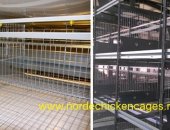 Продам мясо в Москве, Norde machinery завод производится Оборудование для птицеводство