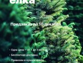 Продам для дачи и сада в Москве, Живая новогодняя ёлочка, с доставкой по 1790 рублей