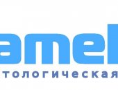 Вакансия стоматолог, постоянная в городе Кемерово, Приглашаем к сотрудничеству врачей в