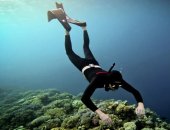 Обучение в городе Шарм-эль-Шейх, Нырни в подводный мир мир фридайвинга! Каждый человек