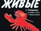 Продам в городе Темрюк, В магазине Живые Раки мы создали для вас универсальную