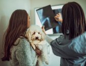 Услуги для животных в городе Домодедово, Юнивет - вет клиника, Наш ветеринарный центр