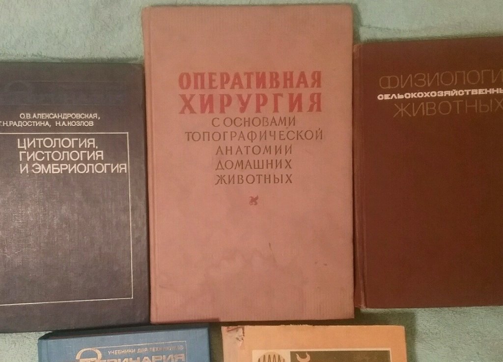 Гистология учебник. Учебник по гистологии Ветеринария. Гистология Ветеринария. Цитология и гистология в ветеринарии. Общая гистология Ветеринария.