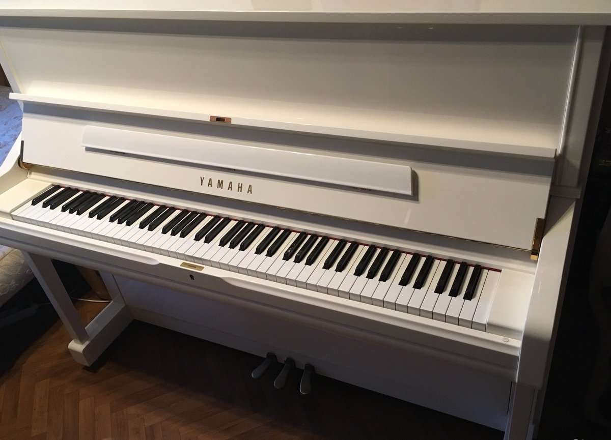 Yamaha u1 Paw