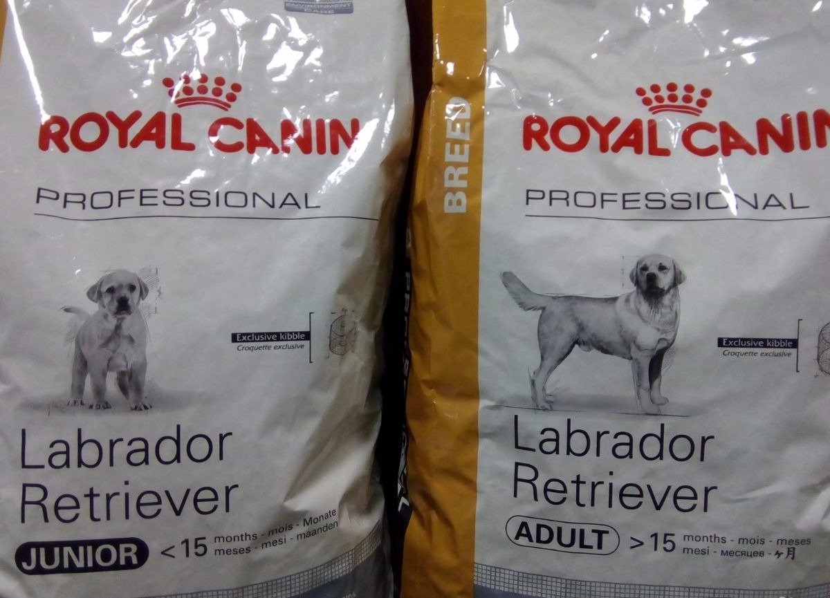 Корм для собак лабрадор. Корм Роял Канин для лабрадоров. Роял Канин для лабрадоров 15 кг. Royal Canin Labrador Retriever 13 кг. Корм для собак Роял Канин для лабрадоров.