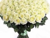 Продам комнатное растение в Москве, Купит розы в москве 31, 51, 71, 101