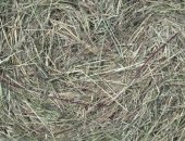 Продам корм для грызунов в Хабаровске, сено в мини рулонах22-23кг покос этого