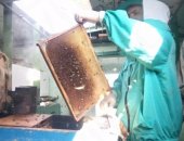 Продам мёд в Волжском, Опт: гречичный 200р кг 13куб 33кг подсолнечный 120р