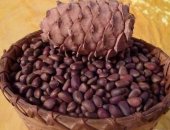 Продам в Анжеро-Судженске, : кедровый орех сухой, чистый, как стаканами, так и