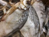 Продам в Новом Уренгое, Рыба, Продается Лешь морской, Свежее сушеная рыба