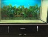 Продам в Кургане, аквариум 300 литров ширина 110 см, глубина 41 см, высота 65 см, есть