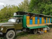 Продам мёд в Городское Округе Сочи, акации! Так же есть каштан 2017 года, Каштан собран в