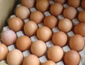 Продам яица в Цимлянске, свежие домашние из терновской, Свежие с собственного хозяйства