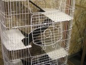 Продам в селе Высокое, Клетка трёхсекционная с откидными дверцами, модель серии Kredo
