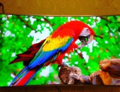 Продам телевизор в Владикавказе, Модель UE49MU6670, Чек в наличии, на гарантии до ноября