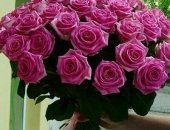 Продам комнатное растение в Саратове, Розы 25 шт 1500 рубБукет 51роза 3060руб, букет