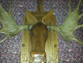 Продам трофеи в Казани, Голова оленя из дерева ручной работы, рога настоящие
