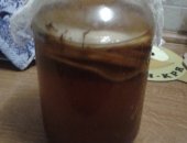 Продам грибы в Мурманске, Чайный гриб, чайный гриб, отличный вкусный полезный напиток для