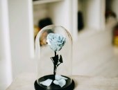 Продам комнатное растение в Обнинске, Приобретая вечную розу, вы дарите счастье и позитив