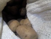 Продам овощи в Чебоксары, Картофель, Сорт галла своего огорода, Выращен без хим, удобрений
