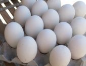 Продам яица в Тюмени, Здравствуйте! готов предложить инкубационное яйцо Бройлеры: Арбор