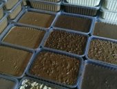 Продам десерты в Новосибирске, Шоколад Нутелла Киндер Рафаэлло Ассортимент весь в