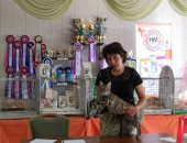 Продам мейн-кун, самец в Таганроге, котят, девочки, родились 13, 01, 2018 года, Детки