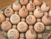 Продам яица в Сызрани, Предлагаем Инкубационное Яйцо круглый год от крупнейших