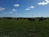 Продам в Рязани, Фермерское хозяйство предлагает охлажденное коровье молоко высшего