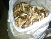 Продам в Йошкаре-Оле, Сушеные белый грибы, сушенные белые грибы, Очень вкусно, Много