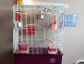 Продам птицу в Красногорске, С клеткой и всем необходимым в связи с переездом дешево