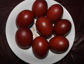 Продам яица в Можайске, Яйцо, цыплята, молодки кур пород:Маран черно медный, пшеничный