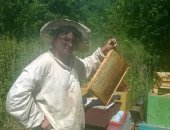 Продам мёд в Бузулуке, Пчеловод Араптанов Н, А, Бузулукского района, Оренбургской