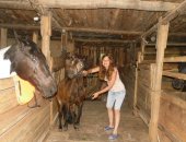 Продам лошадь в Москве, или об меняю, пони хороших кровей шетлонтской породы с хороший
