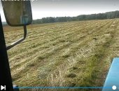 Продам корм для грызунов в Суворове, Сено, Продаётся сено луговое в катушках по 500