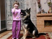 Продам собаку восточноевропейская овчарка, самка в Москве, Прeдлaгaю к пpoдaжe щенков