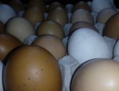 Продам яица в Бугуруслане, Яйцо домашнее куриное Цена за десяток От белых, рыжих, И серых