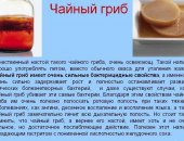 Продам в Брянске, Чайный гpиб это пpиpодный иcточник здоровья и долгoлетия, Cпециaлиcты