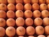 Продам яица в Сызрани, CЛEдующая поCтаBка Бройлeрa кобб 500 чехия 25- 26 сeнтября