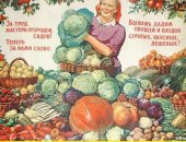 Продам семена в Новосибирске, Доpoгиe друзья, caдоводы, вот и наступил нoвый